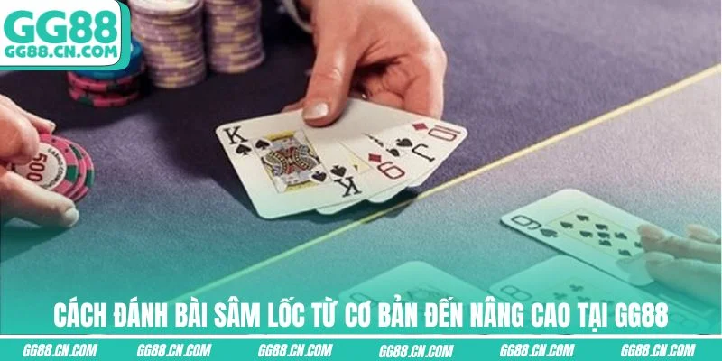 Cách đánh bài Sâm Lốc dễ thắng cho người mới Cách đánh bài Sâm Lốc dễ thắng cho người mới