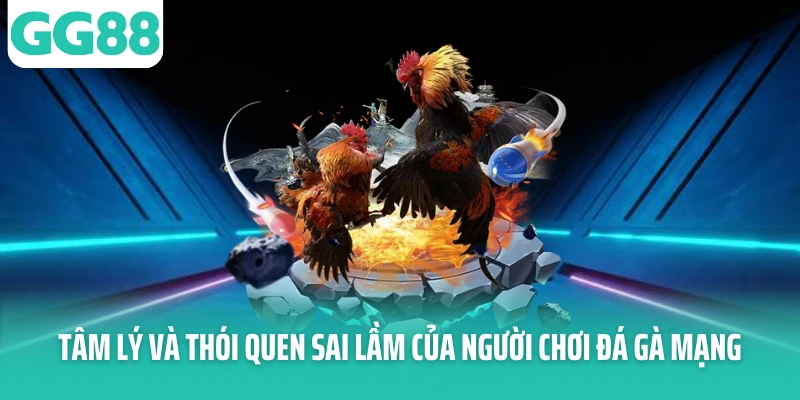 Tâm lý và thói quen sai lầm của người chơi đá gà mạng Tâm lý và thói quen sai lầm của người chơi đá gà mạng