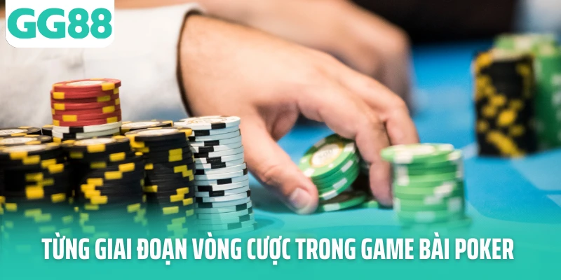 Từng giai đoạn vòng cược trong game bài Poker Từng giai đoạn vòng cược trong game bài Poker